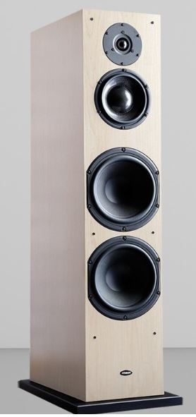 Custom Speaker Design 1